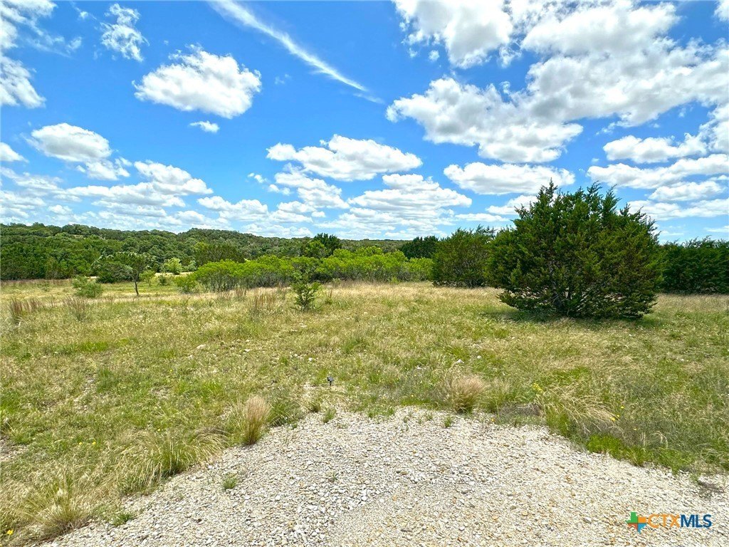 Picture 20