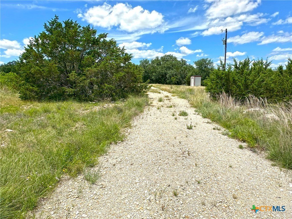 Picture 19