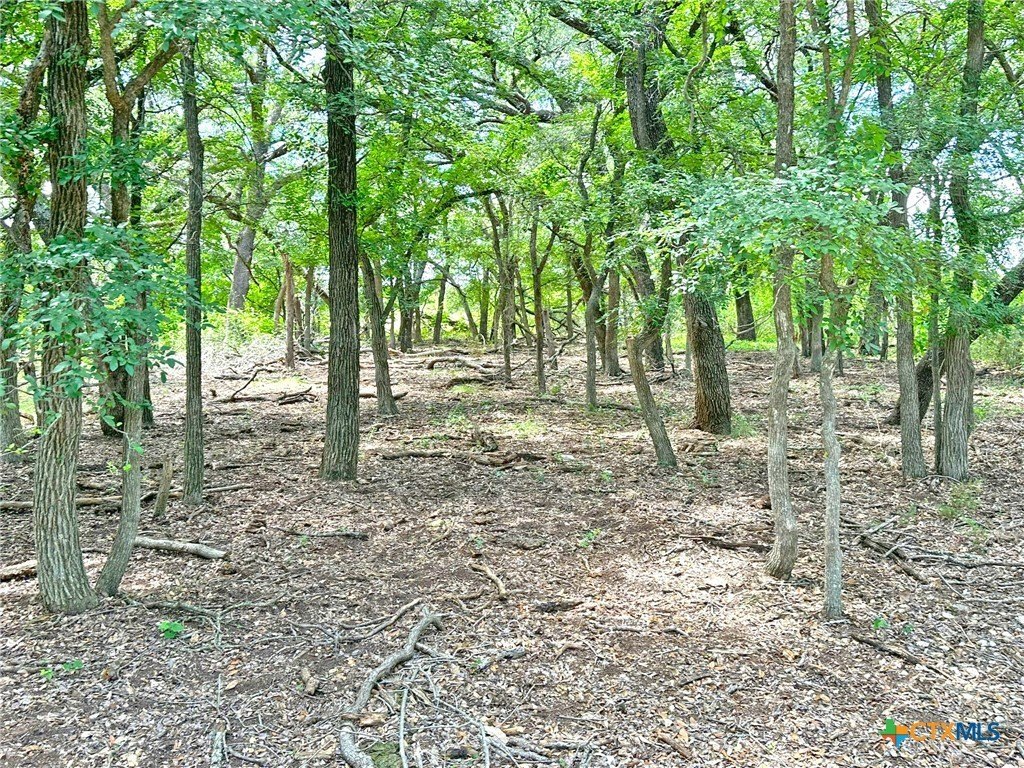 Picture 4