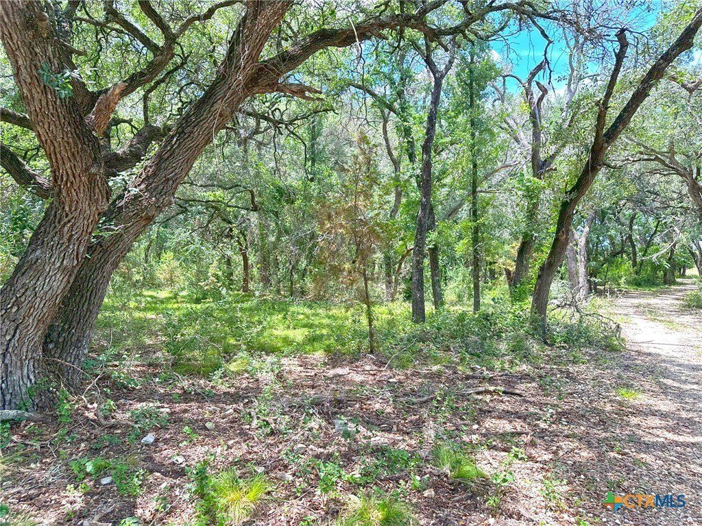 Picture 11