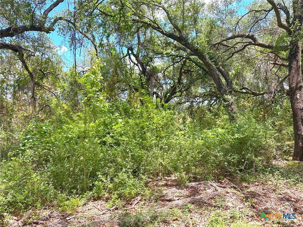 Picture 32