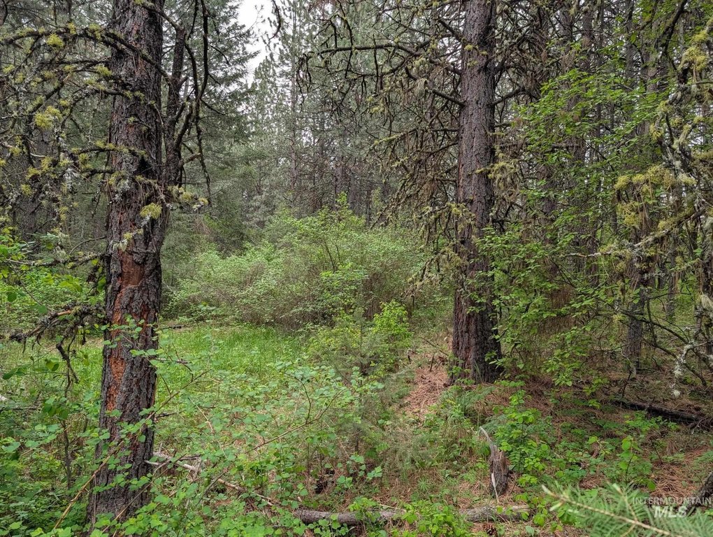 Picture 43
