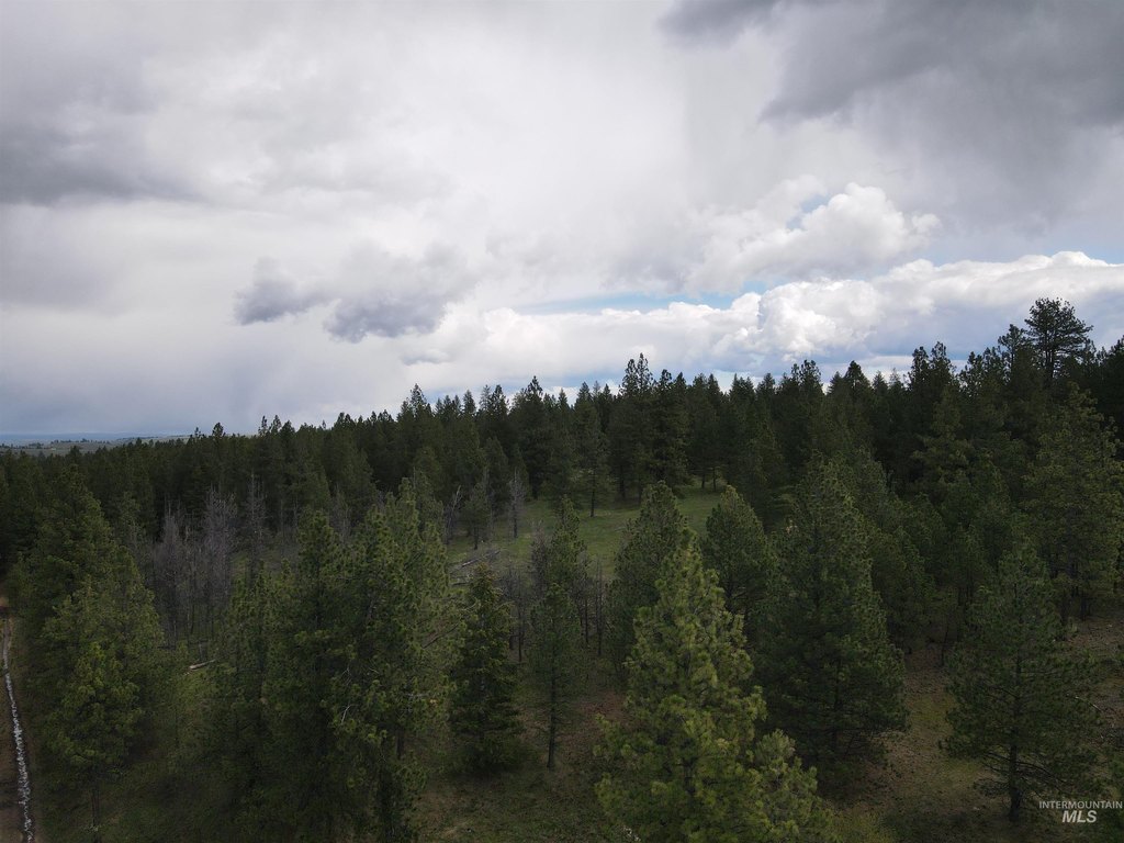 Picture 43