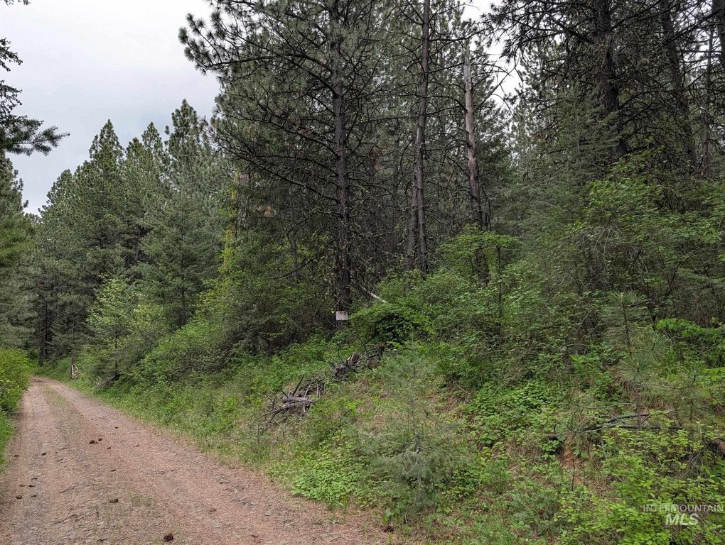 Picture 40