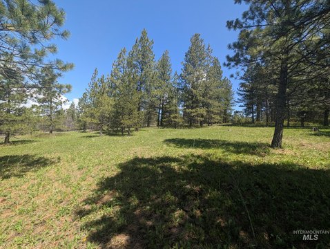 Wooded Acreage Near Salmon River