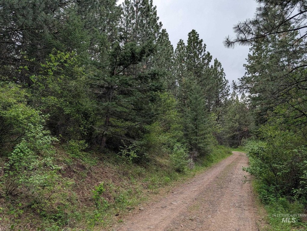 Picture 46