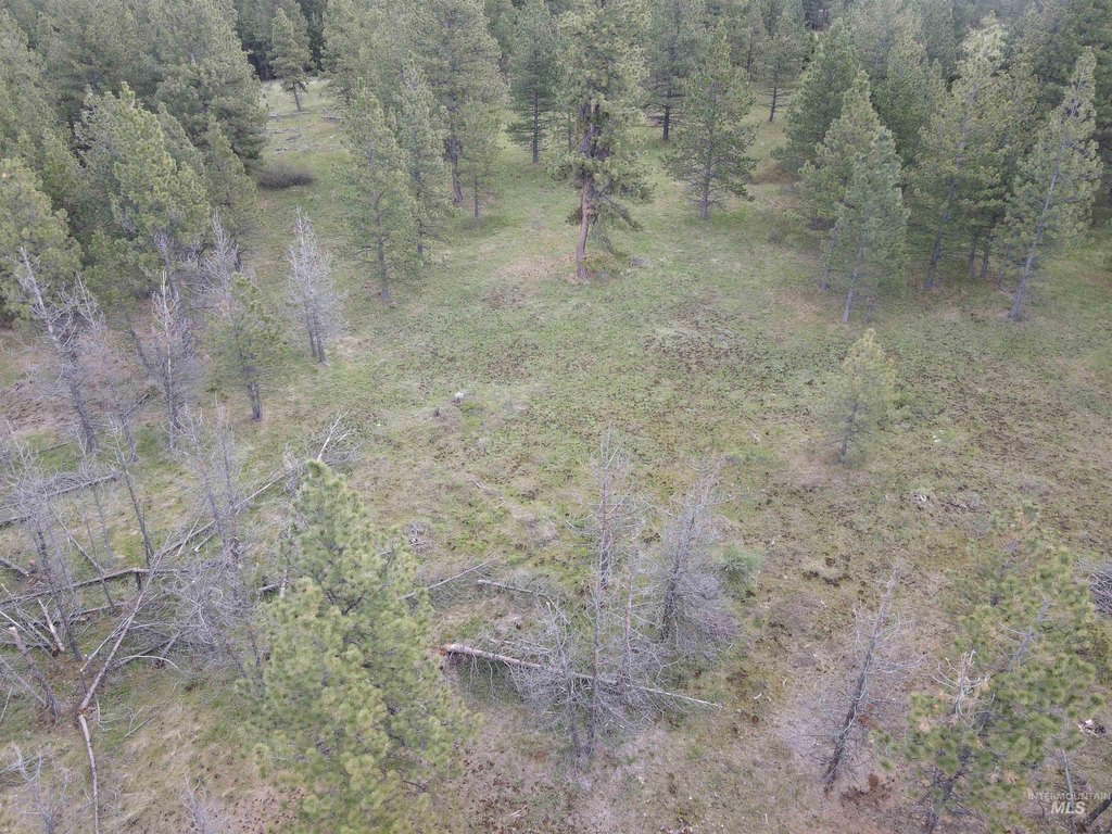 Picture 50