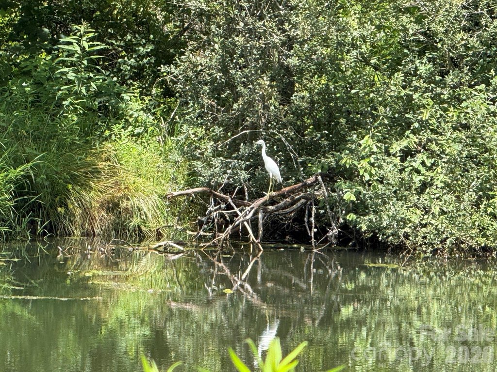Picture 35