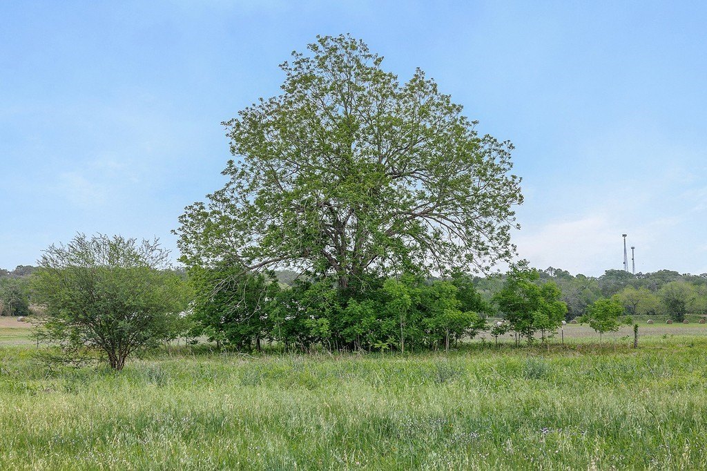 Picture 20