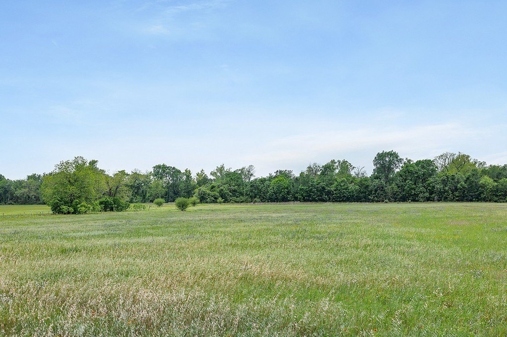 Picture 23