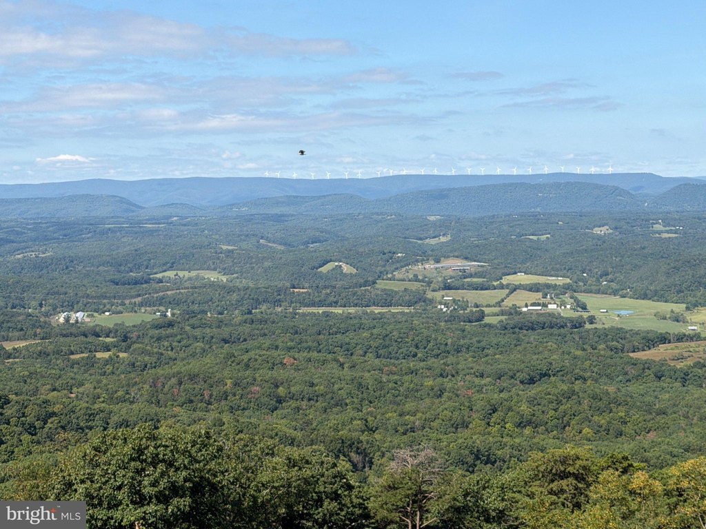Picture 41