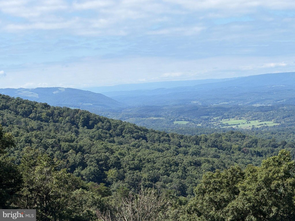 Picture 16
