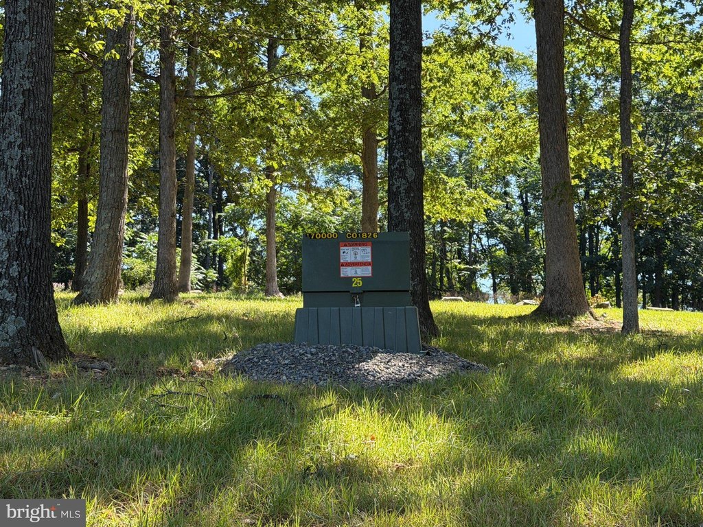 Picture 23