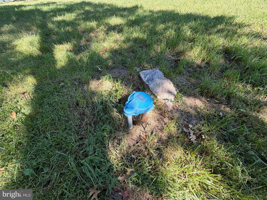 Picture 21