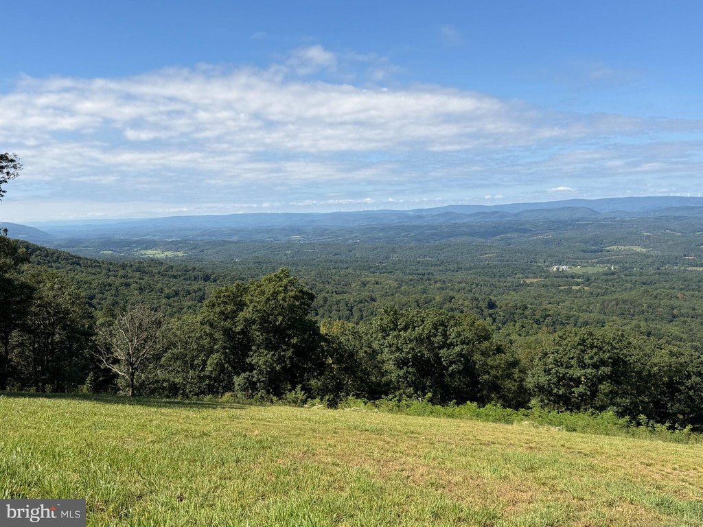 Picture 45