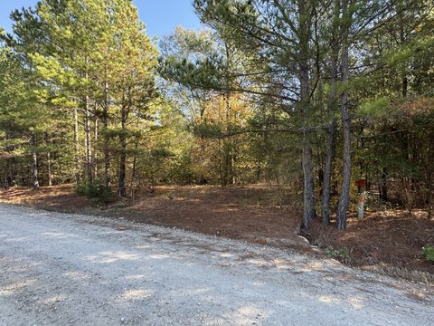 Forested Recreational Building Lot