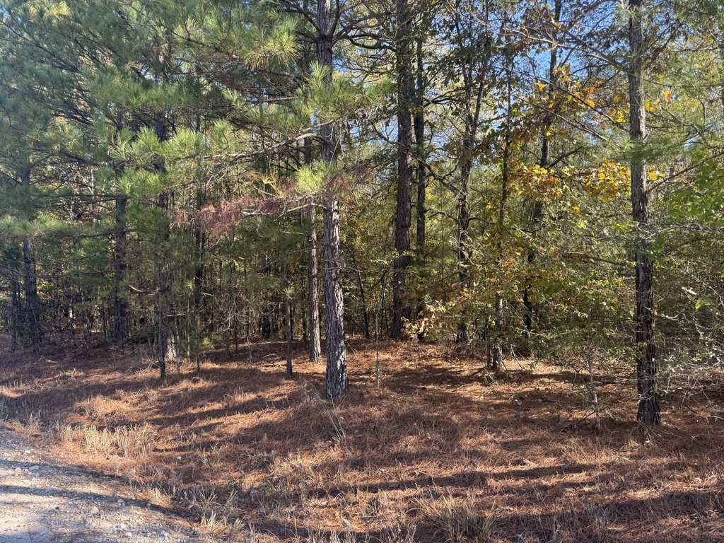 Picture 2