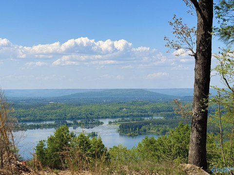 Dutton, AL Bluff Lot