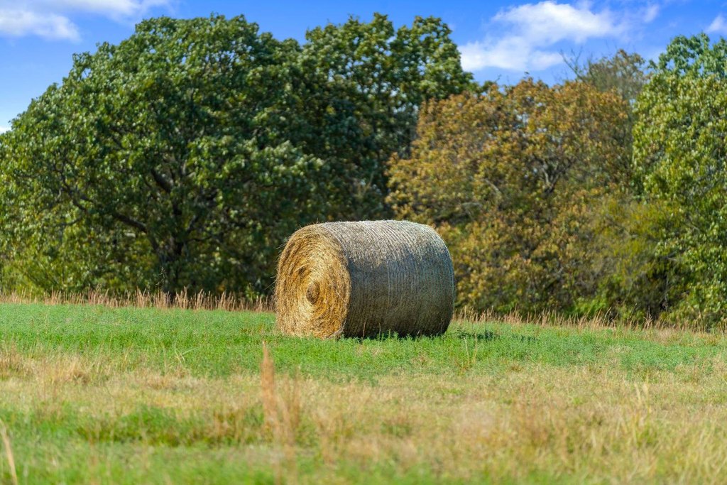 Picture 61