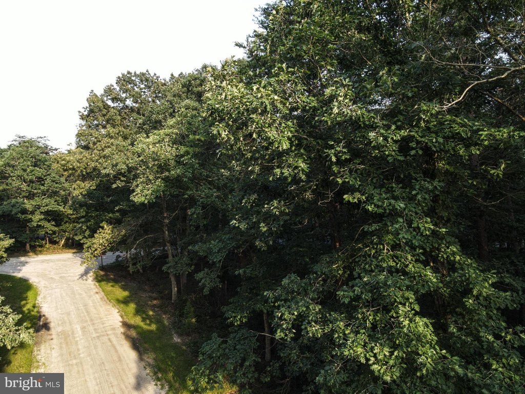 Picture 3