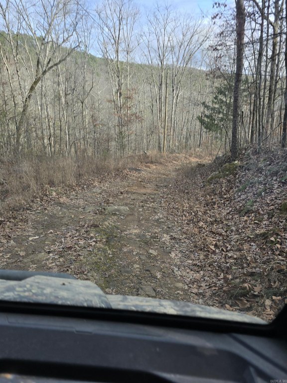 Picture 9
