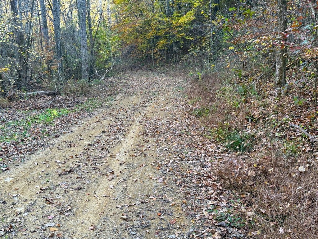 Picture 2