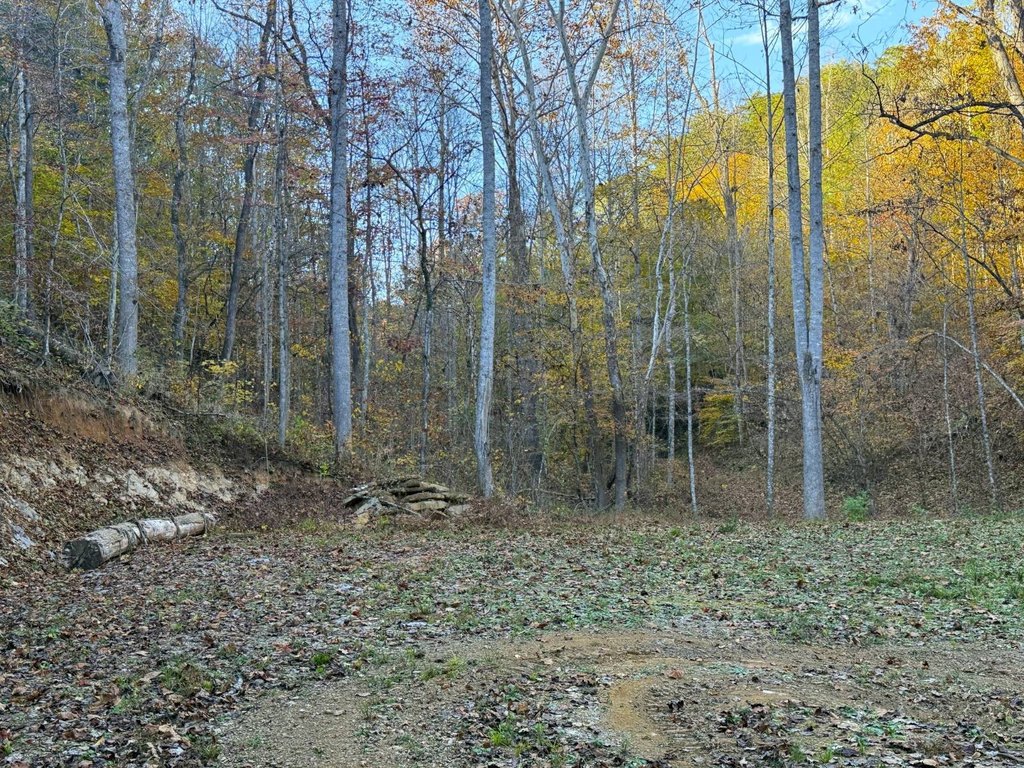 Picture 3
