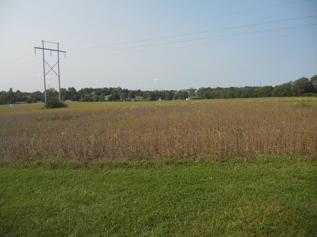 Picture 8
