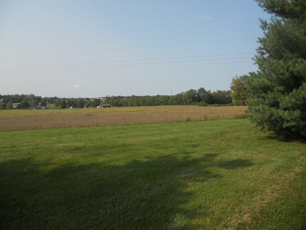 Picture 6
