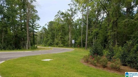 LAND - CHELSEA, AL