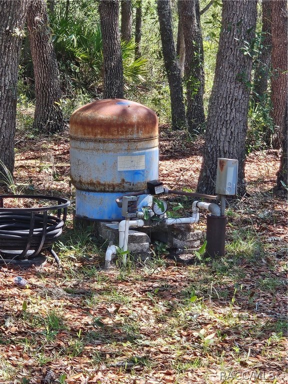 Picture 4