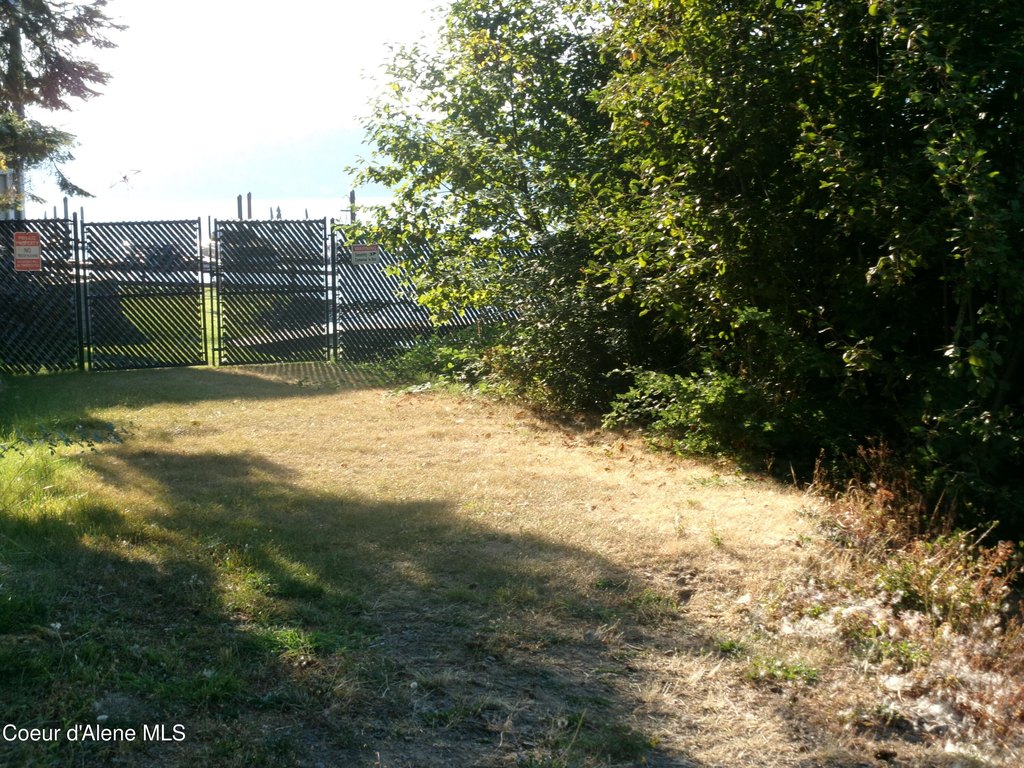 Picture 15