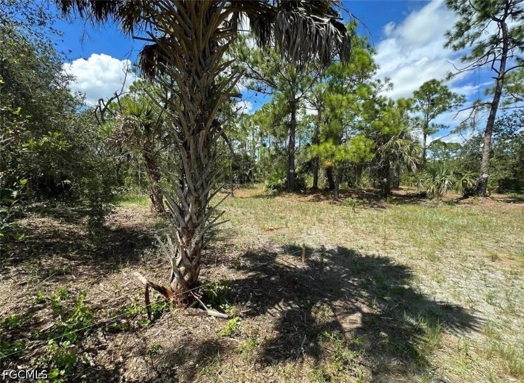Picture 4
