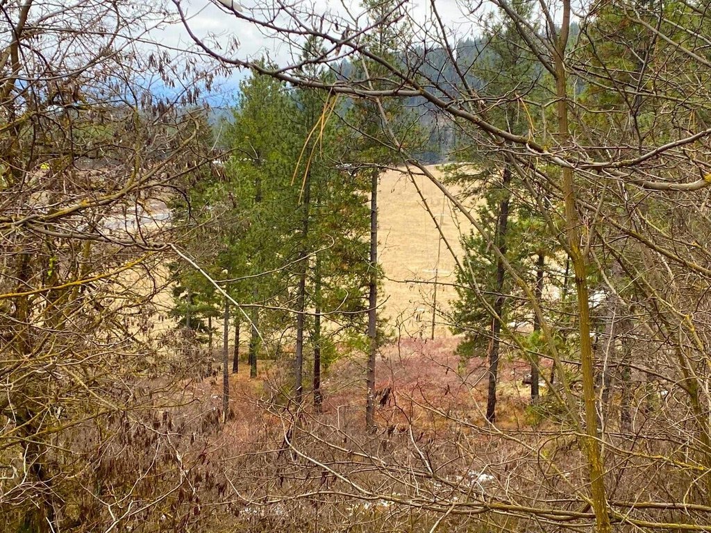 Picture 11
