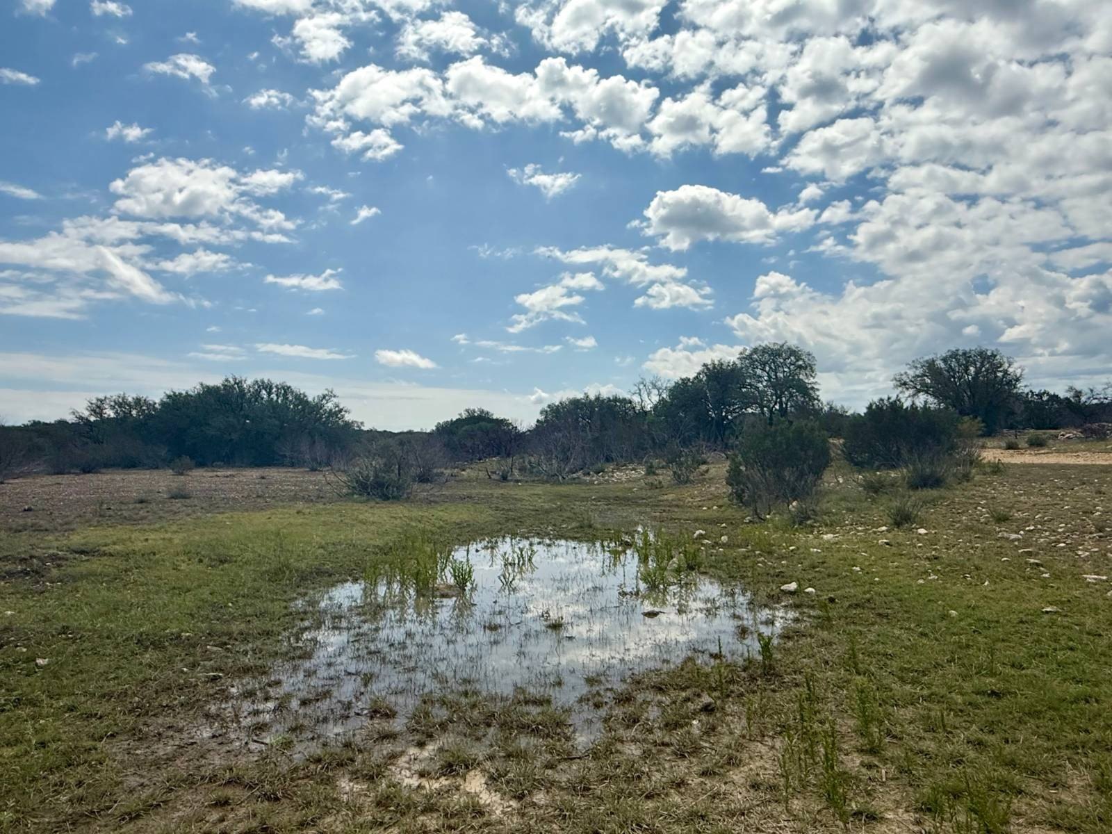 Texas Hill Country Hunting Ranchette
