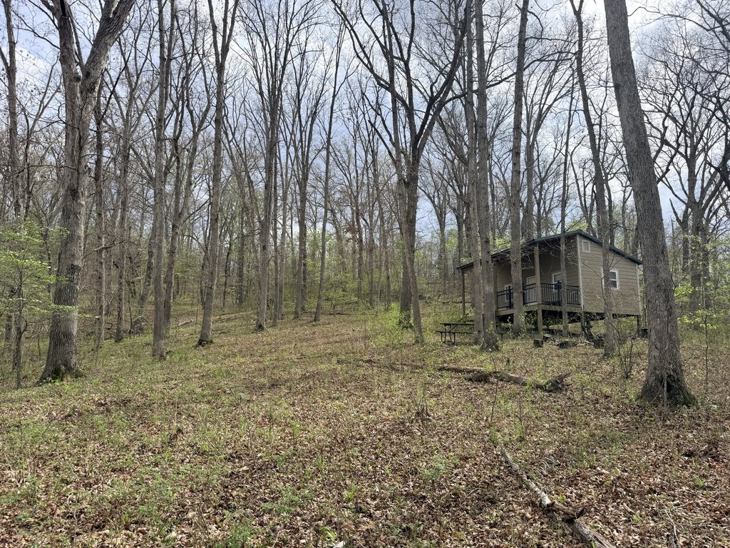 Picture 16