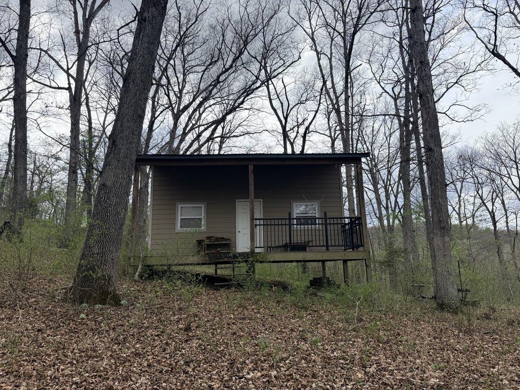 Picture 10