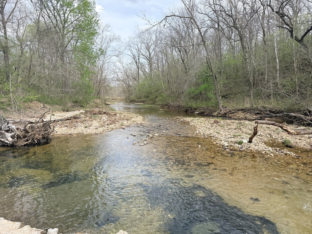 Picture 2