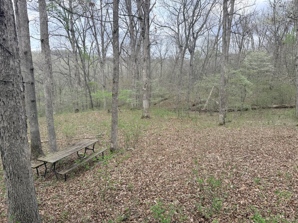 Picture 15