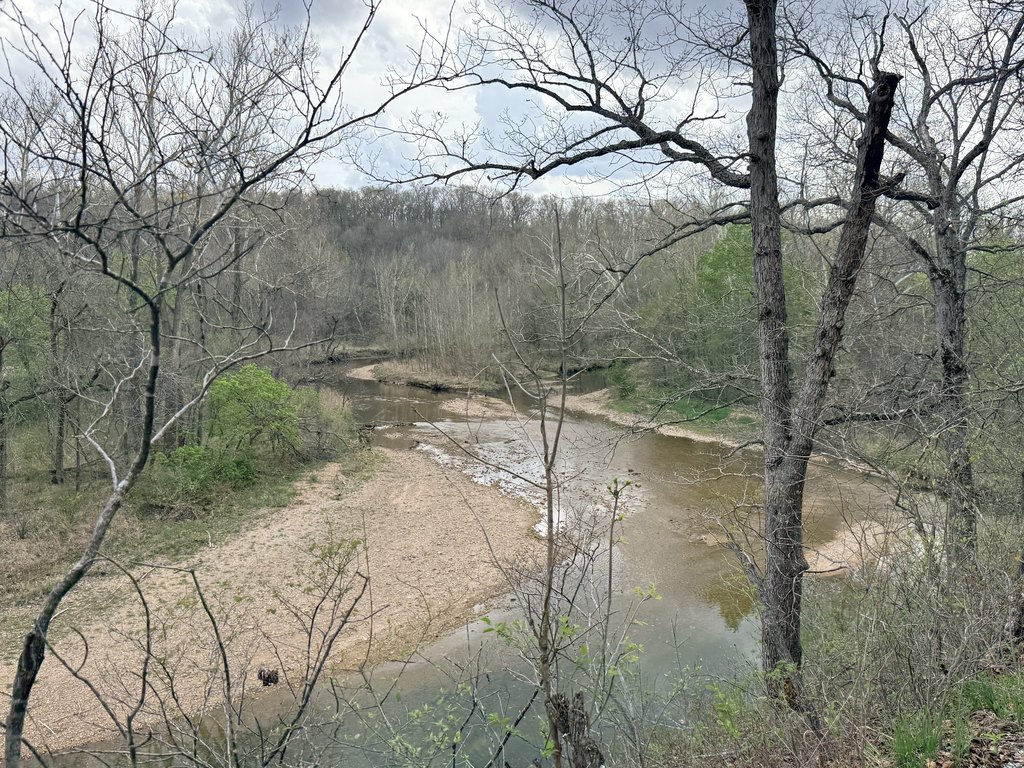 Picture 17