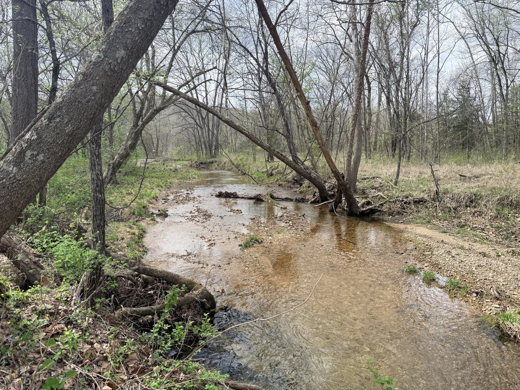 Picture 4