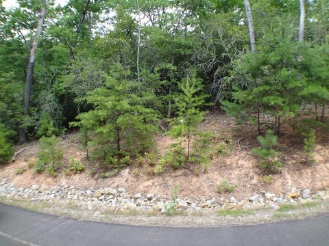 Residential Wooded Lot in Franklin