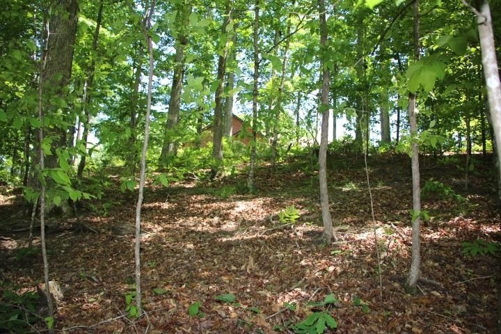Picture 9