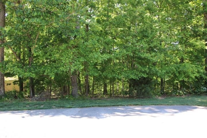 Picture 20