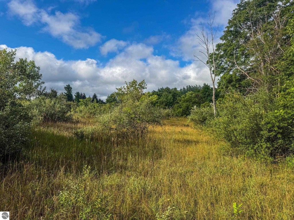 Picture 17