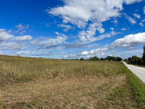 Land, Theodosia, MO