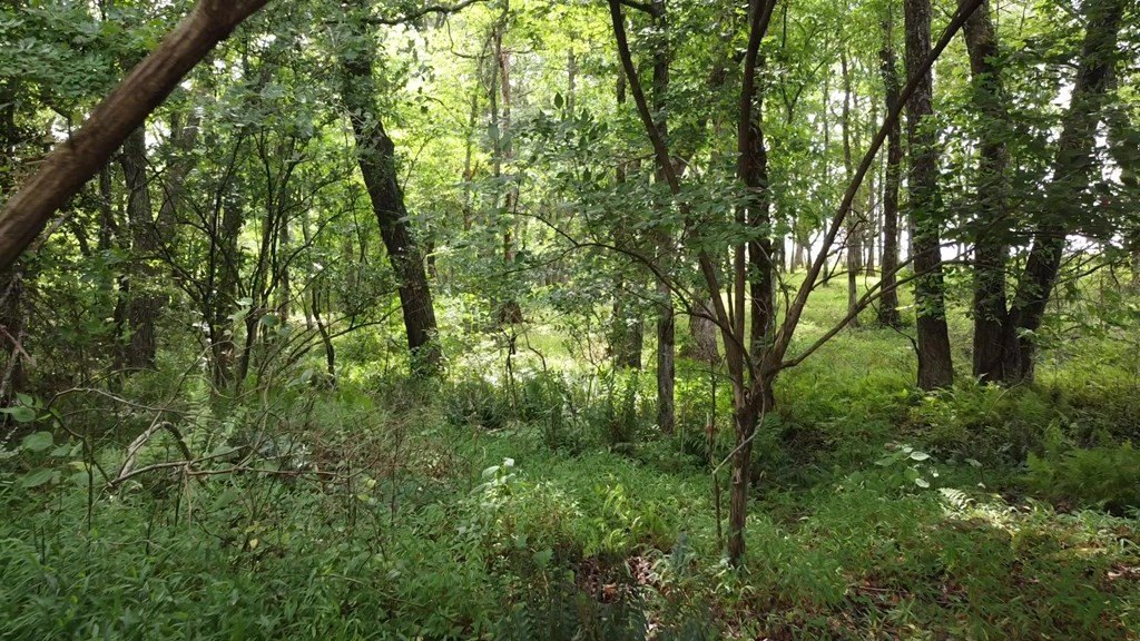 Picture 10