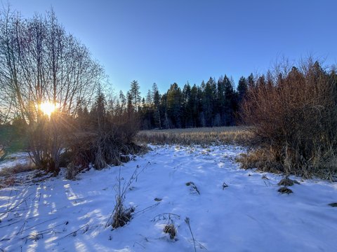 Highway-Frontage Commercial Land