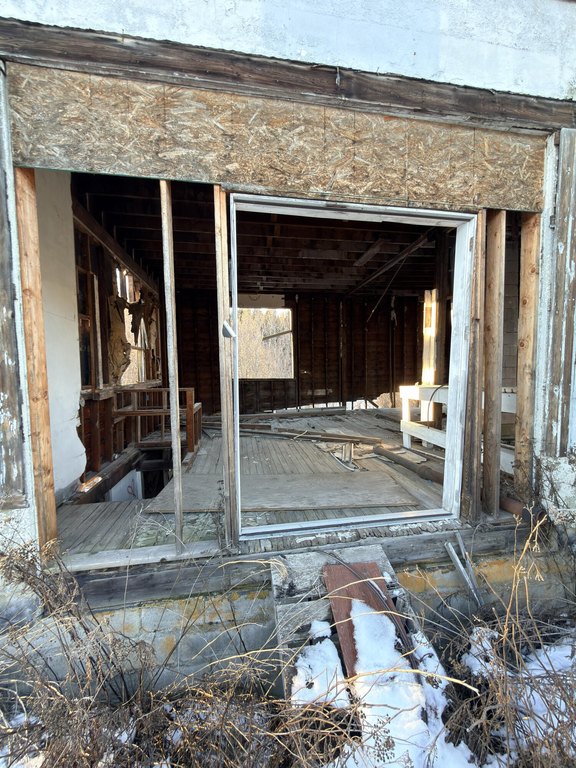 Picture 11