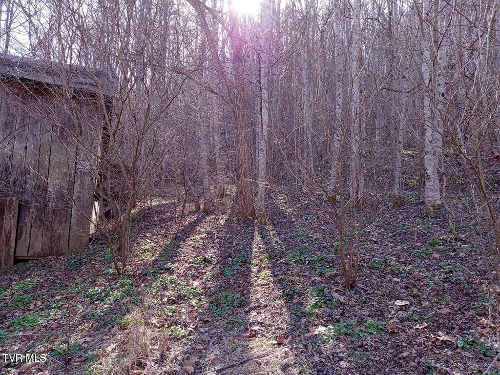 Picture 8